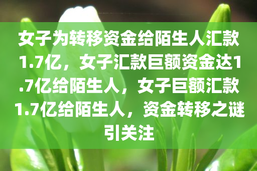 女子为转移资金给陌生人汇款1.7亿，女子汇款巨额资金达1.7亿给陌生人，女子巨额汇款1.7亿给陌生人，资金转移之谜引关注