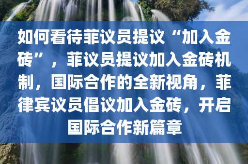 如何看待菲议员提议“加入金砖”，菲议员提议加入金砖机制，国际合作的全新视角，菲律宾议员倡议加入金砖，开启国际合作新篇章