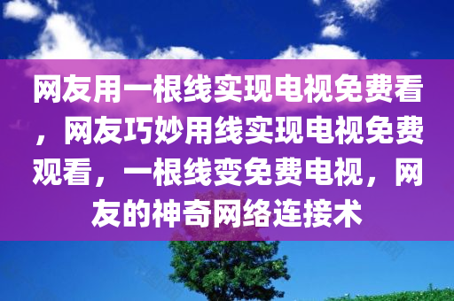 网友用一根线实现电视免费看，网友巧妙用线实现电视免费观看，一根线变免费电视，网友的神奇网络连接术