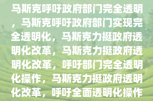 马斯克呼吁政府部门完全透明，马斯克呼吁政府部门实现完全透明化，马斯克力挺政府透明化改革，马斯克力挺政府透明化改革，呼吁部门完全透明化操作，马斯克力挺政府透明化改革，呼吁全面透明化操作