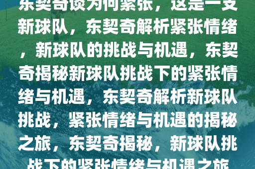 东契奇谈为何紧张，这是一支新球队，东契奇解析紧张情绪，新球队的挑战与机遇，东契奇揭秘新球队挑战下的紧张情绪与机遇，东契奇解析新球队挑战，紧张情绪与机遇的揭秘之旅，东契奇揭秘，新球队挑战下的紧张情绪与机遇之旅