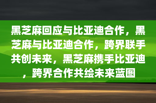 黑芝麻回应与比亚迪合作，黑芝麻与比亚迪合作，跨界联手共创未来，黑芝麻携手比亚迪，跨界合作共绘未来蓝图