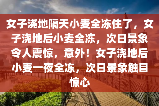 女子浇地隔天小麦全冻住了，女子浇地后小麦全冻，次日景象令人震惊，意外！女子浇地后小麦一夜全冻，次日景象触目惊心