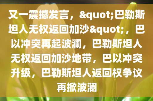 又一震撼发言，"巴勒斯坦人无权返回加沙"，巴以冲突再起波澜，巴勒斯坦人无权返回加沙地带，巴以冲突升级，巴勒斯坦人返回权争议再掀波澜