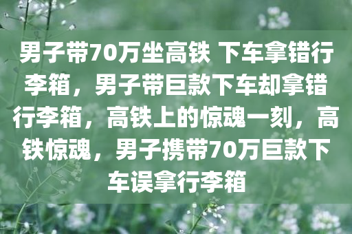 男子带70万坐高铁 下车拿错行李箱，男子带巨款下车却拿错行李箱，高铁上的惊魂一刻，高铁惊魂，男子携带70万巨款下车误拿行李箱