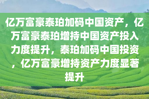 亿万富豪泰珀加码中国资产，亿万富豪泰珀增持中国资产投入力度提升，泰珀加码中国投资，亿万富豪增持资产力度显著提升