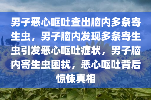 男子恶心呕吐查出脑内多条寄生虫，男子脑内发现多条寄生虫引发恶心呕吐症状，男子脑内寄生虫困扰，恶心呕吐背后惊悚真相