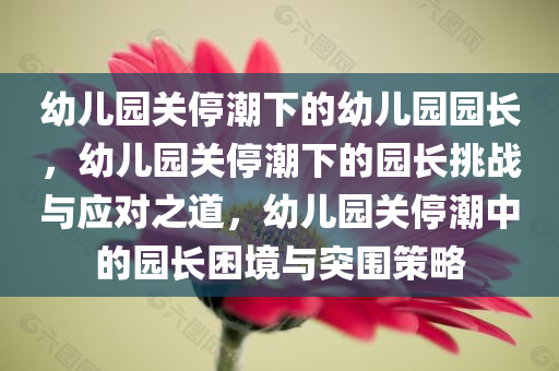 幼儿园关停潮下的幼儿园园长，幼儿园关停潮下的园长挑战与应对之道，幼儿园关停潮中的园长困境与突围策略