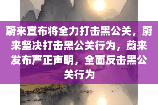 蔚来宣布将全力打击黑公关，蔚来坚决打击黑公关行为，蔚来发布严正声明，全面反击黑公关行为