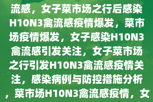 女子去菜市场后感染H10N3禽流感，女子菜市场之行后感染H10N3禽流感疫情爆发，菜市场疫情爆发，女子感染H10N3禽流感引发关注，女子菜市场之行引发H10N3禽流感疫情关注，感染病例与防控措施分析，菜市场H10N3禽流感疫情，女子感染引发关注