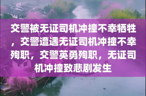 交警被无证司机冲撞不幸牺牲，交警遭遇无证司机冲撞不幸殉职，交警英勇殉职，无证司机冲撞致悲剧发生