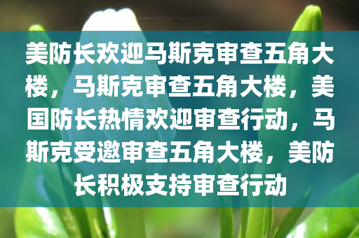 美防长欢迎马斯克审查五角大楼，马斯克审查五角大楼，美国防长热情欢迎审查行动，马斯克受邀审查五角大楼，美防长积极支持审查行动