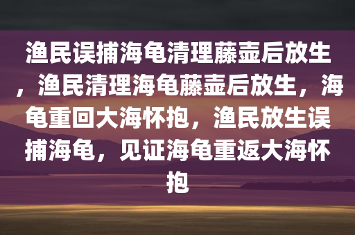 渔民误捕海龟清理藤壶后放生，渔民清理海龟藤壶后放生，海龟重回大海怀抱，渔民放生误捕海龟，见证海龟重返大海怀抱