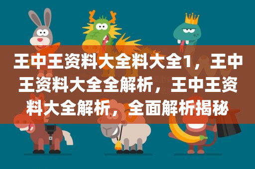 王中王资料大全料大全1，王中王资料大全全解析，王中王资料大全解析，全面解析揭秘