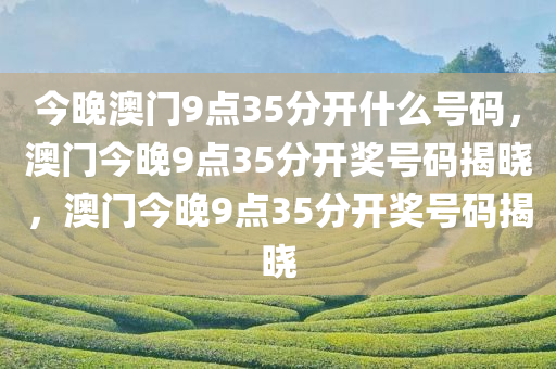 今晚澳门9点35分开什么号码，澳门今晚9点35分开奖号码揭晓，澳门今晚9点35分开奖号码揭晓