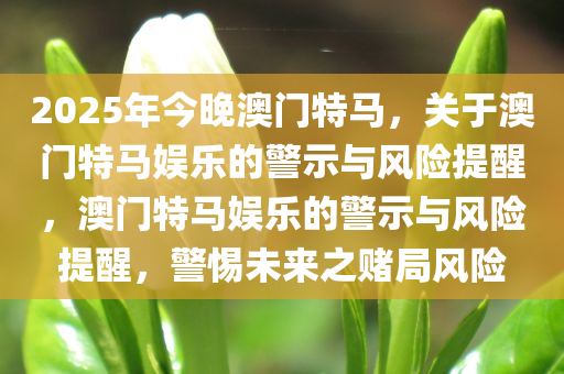 2025年今晚澳门特马，关于澳门特马娱乐的警示与风险提醒，澳门特马娱乐的警示与风险提醒，警惕未来之赌局风险