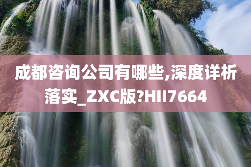 成都咨询公司有哪些,深度详析落实_ZXC版?HII7664