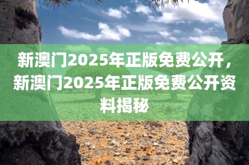 新澳门2025年正版免费公开，新澳门2025年正版免费公开资料揭秘