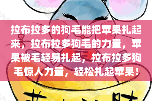 拉布拉多的狗毛能把苹果扎起来，拉布拉多狗毛的力量，苹果被毛轻易扎起，拉布拉多狗毛惊人力量，轻松扎起苹果！