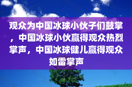 观众为中国冰球小伙子们鼓掌，中国冰球小伙赢得观众热烈掌声，中国冰球健儿赢得观众如雷掌声