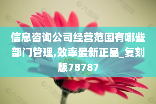 信息咨询公司经营范围有哪些部门管理,效率最新正品_复刻版78787