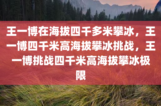 王一博在海拔四千多米攀冰，王一博四千米高海拔攀冰挑战，王一博挑战四千米高海拔攀冰极限