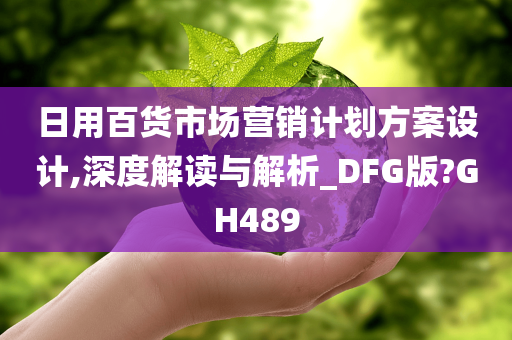 日用百货市场营销计划方案设计,深度解读与解析_DFG版?GH489