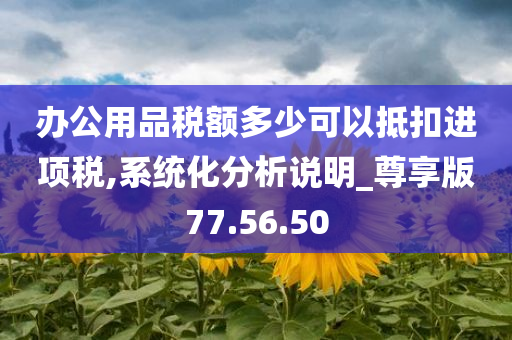 办公用品税额多少可以抵扣进项税,系统化分析说明_尊享版77.56.50