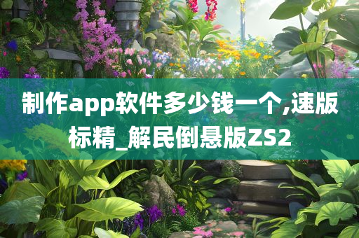 制作app软件多少钱一个,速版标精_解民倒悬版ZS2