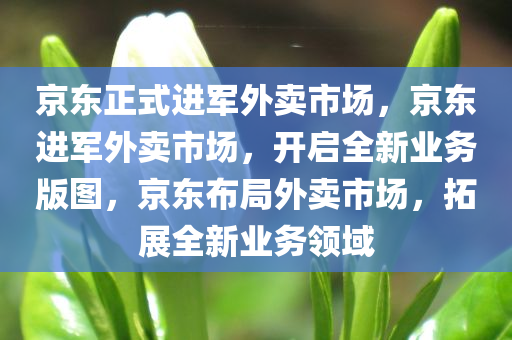 京东正式进军外卖市场，京东进军外卖市场，开启全新业务版图，京东布局外卖市场，拓展全新业务领域