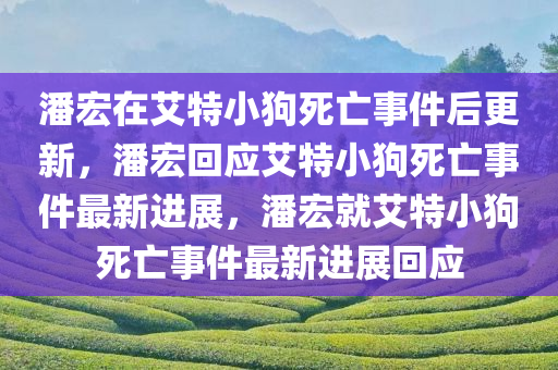 潘宏在艾特小狗死亡事件后更新，潘宏回应艾特小狗死亡事件最新进展，潘宏就艾特小狗死亡事件最新进展回应