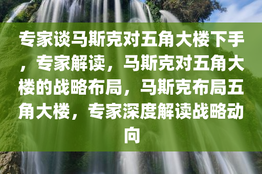 专家谈马斯克对五角大楼下手，专家解读，马斯克对五角大楼的战略布局，马斯克布局五角大楼，专家深度解读战略动向