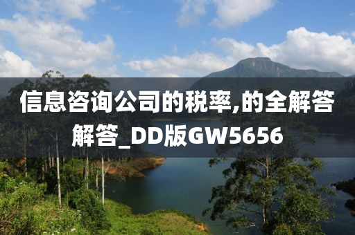 信息咨询公司的税率,的全解答解答_DD版GW5656