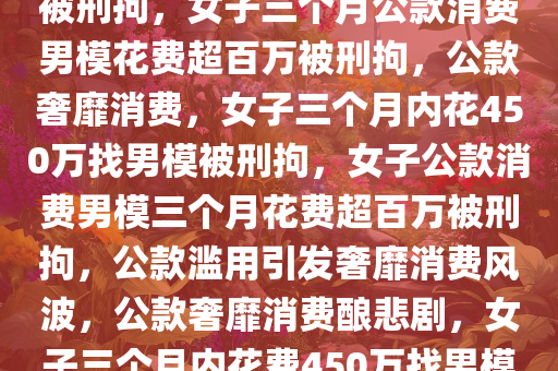 女子找男模3个月花450万公款被刑拘，女子三个月公款消费男模花费超百万被刑拘，公款奢靡消费，女子三个月内花450万找男模被刑拘，女子公款消费男模三个月花费超百万被刑拘，公款滥用引发奢靡消费风波，公款奢靡消费酿悲剧，女子三个月内花费450万找男模被刑拘