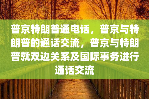 普京特朗普通电话，普京与特朗普的通话交流，普京与特朗普就双边关系及国际事务进行通话交流