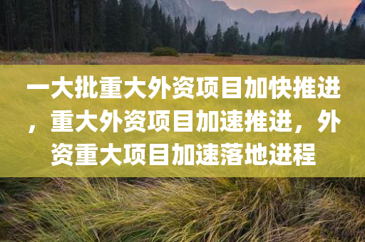 一大批重大外资项目加快推进，重大外资项目加速推进，外资重大项目加速落地进程