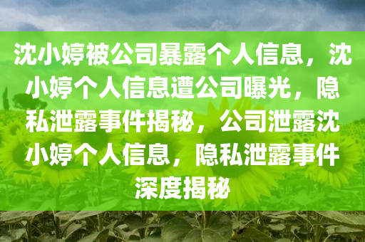 沈小婷被公司暴露个人信息，沈小婷个人信息遭公司曝光，隐私泄露事件揭秘，公司泄露沈小婷个人信息，隐私泄露事件深度揭秘