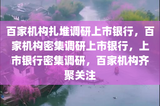 百家机构扎堆调研上市银行，百家机构密集调研上市银行，上市银行密集调研，百家机构齐聚关注