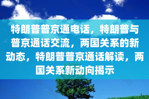 特朗普普京通电话，特朗普与普京通话交流，两国关系的新动态，特朗普普京通话解读，两国关系新动向揭示