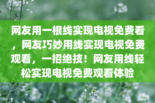 网友用一根线实现电视免费看，网友巧妙用线实现电视免费观看，一招绝技！网友用线轻松实现电视免费观看体验