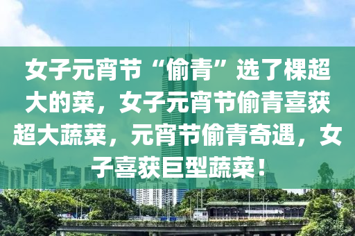 女子元宵节“偷青”选了棵超大的菜，女子元宵节偷青喜获超大蔬菜，元宵节偷青奇遇，女子喜获巨型蔬菜！