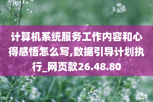 计算机系统服务工作内容和心得感悟怎么写,数据引导计划执行_网页款26.48.80