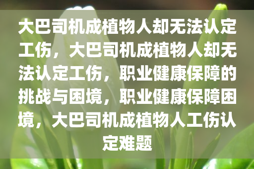 大巴司机成植物人却无法认定工伤，大巴司机成植物人却无法认定工伤，职业健康保障的挑战与困境，职业健康保障困境，大巴司机成植物人工伤认定难题