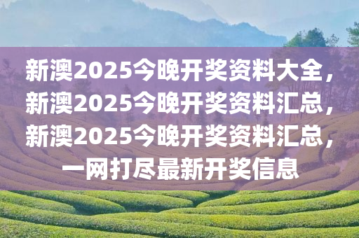 新澳2025今晚开奖资料大全，新澳2025今晚开奖资料汇总，新澳2025今晚开奖资料汇总，一网打尽最新开奖信息