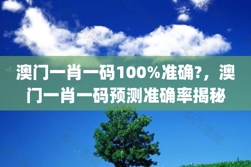 澳门一肖一码100%准确?，澳门一肖一码预测准确率揭秘