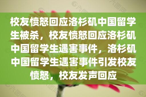 校友愤怒回应洛杉矶中国留学生被杀，校友愤怒回应洛杉矶中国留学生遇害事件，洛杉矶中国留学生遇害事件引发校友愤怒，校友发声回应