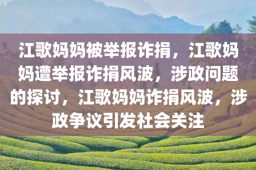 江歌妈妈被举报诈捐，江歌妈妈遭举报诈捐风波，涉政问题的探讨，江歌妈妈诈捐风波，涉政争议引发社会关注