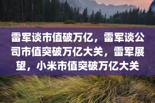 雷军谈市值破万亿，雷军谈公司市值突破万亿大关，雷军展望，小米市值突破万亿大关