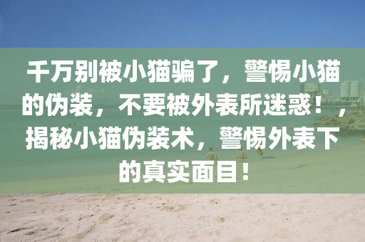 千万别被小猫骗了，警惕小猫的伪装，不要被外表所迷惑！，揭秘小猫伪装术，警惕外表下的真实面目！