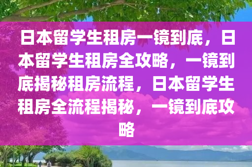 日本留学生租房一镜到底，日本留学生租房全攻略，一镜到底揭秘租房流程，日本留学生租房全流程揭秘，一镜到底攻略